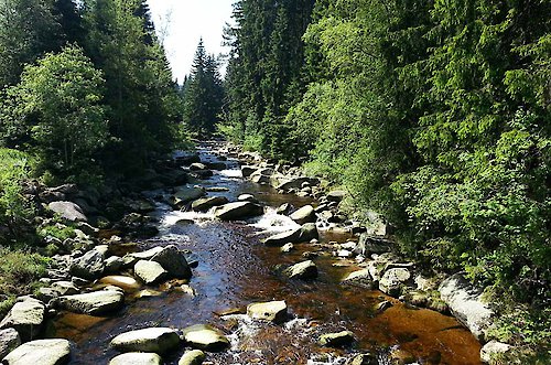 Naturlandschaft im Böhmerwald